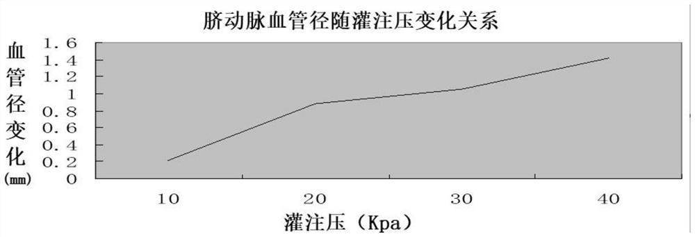 Application of umbilical artery in preparation of graft blood vessel material for coronary artery bypass grafting and method for preparing graft blood vessel material for coronary artery bypass grafting