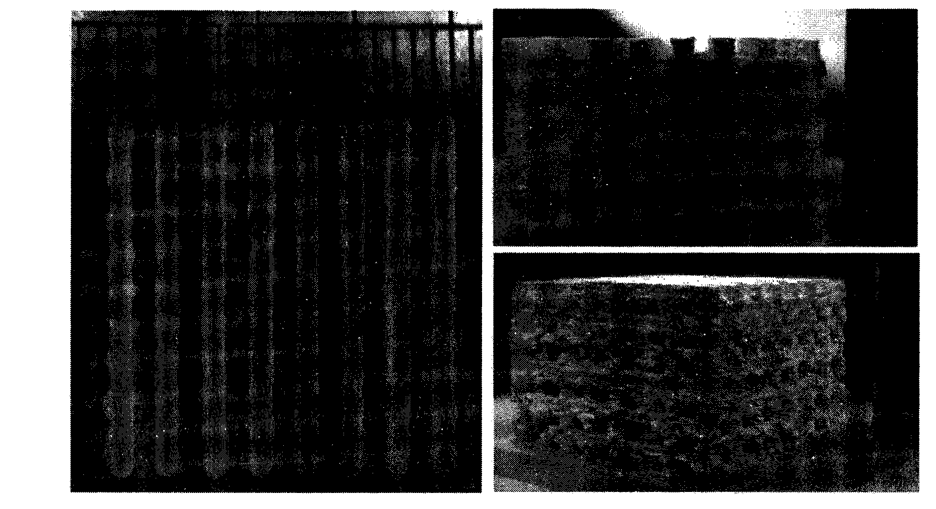 Method for preparing porous bone scaffold by laser and increasing performance by adding zinc oxide