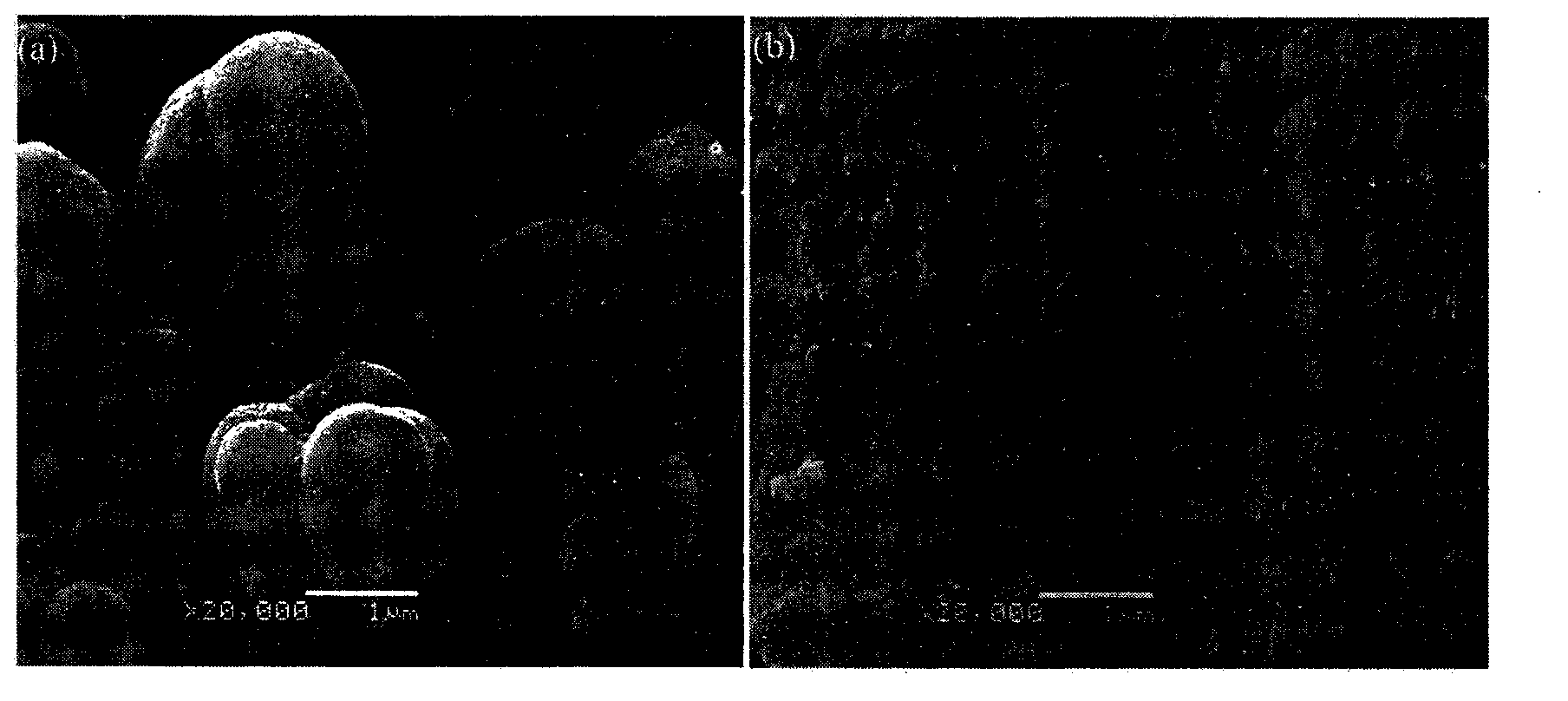 Method for preparing porous bone scaffold by laser and increasing performance by adding zinc oxide