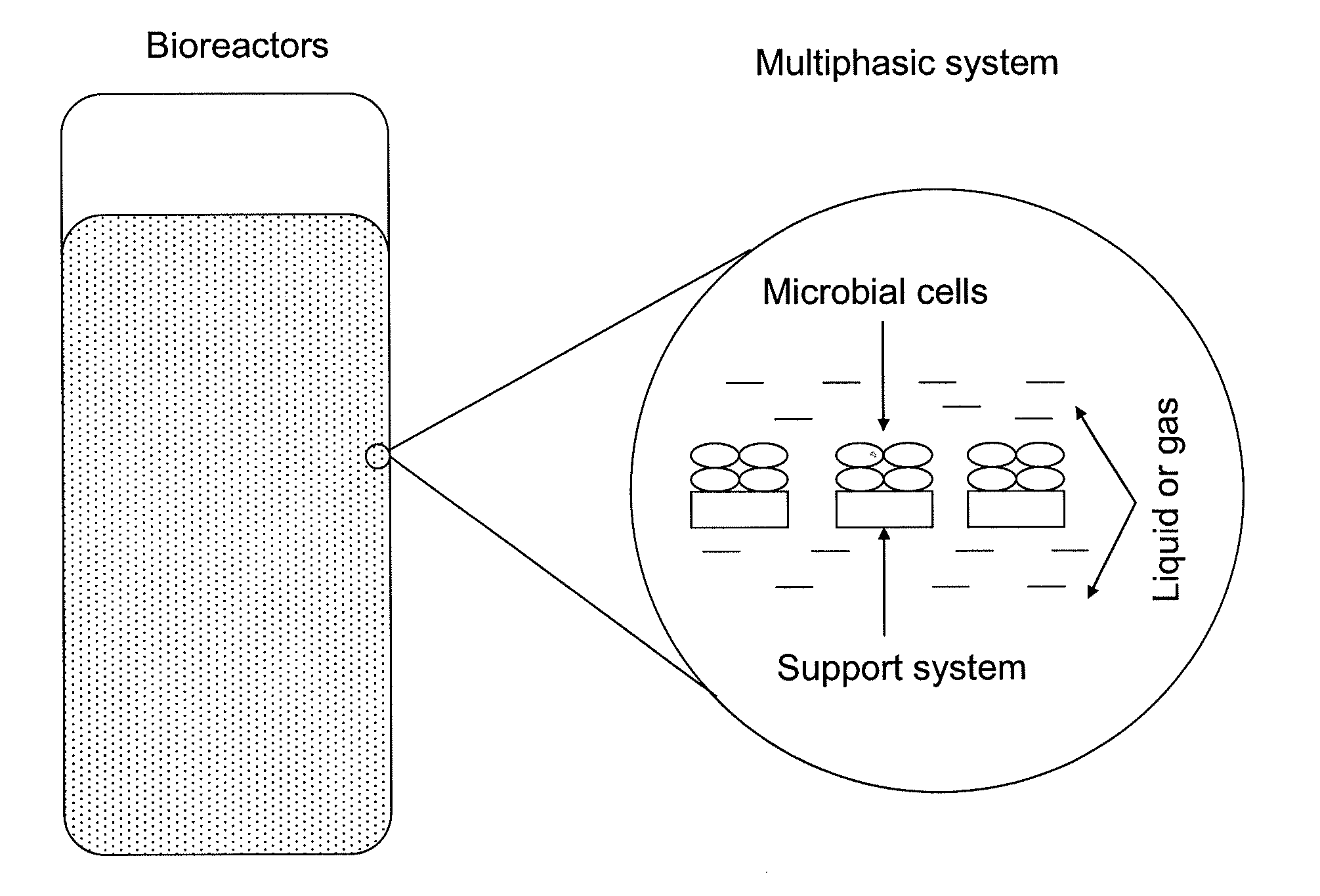 Methods and systems for production of biofuels and bioenergy products from sewage sludge, including recalcitrant sludge