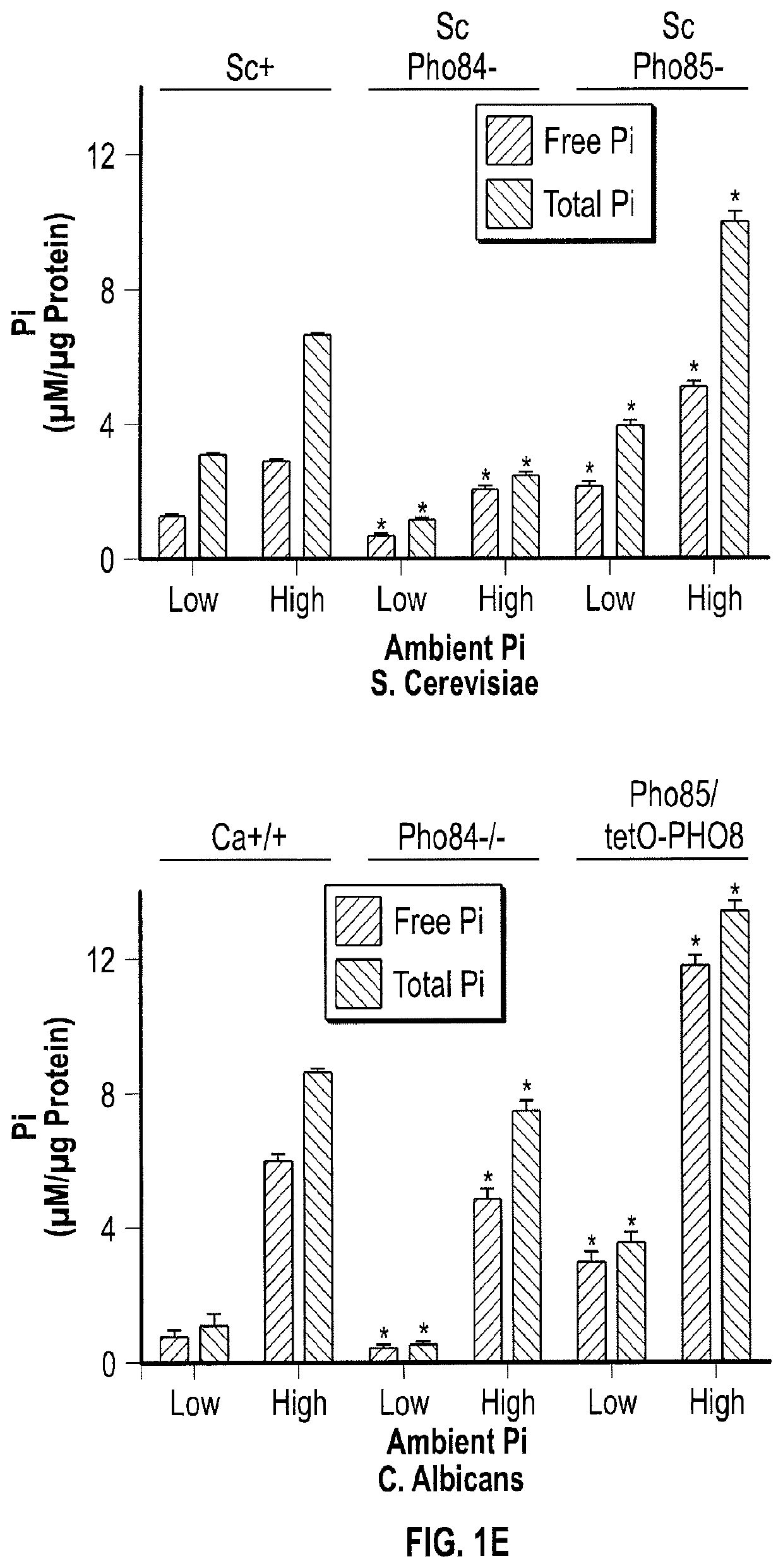 Inhibiting the Fungal Cell-Surface Phospate Transporter PHO84