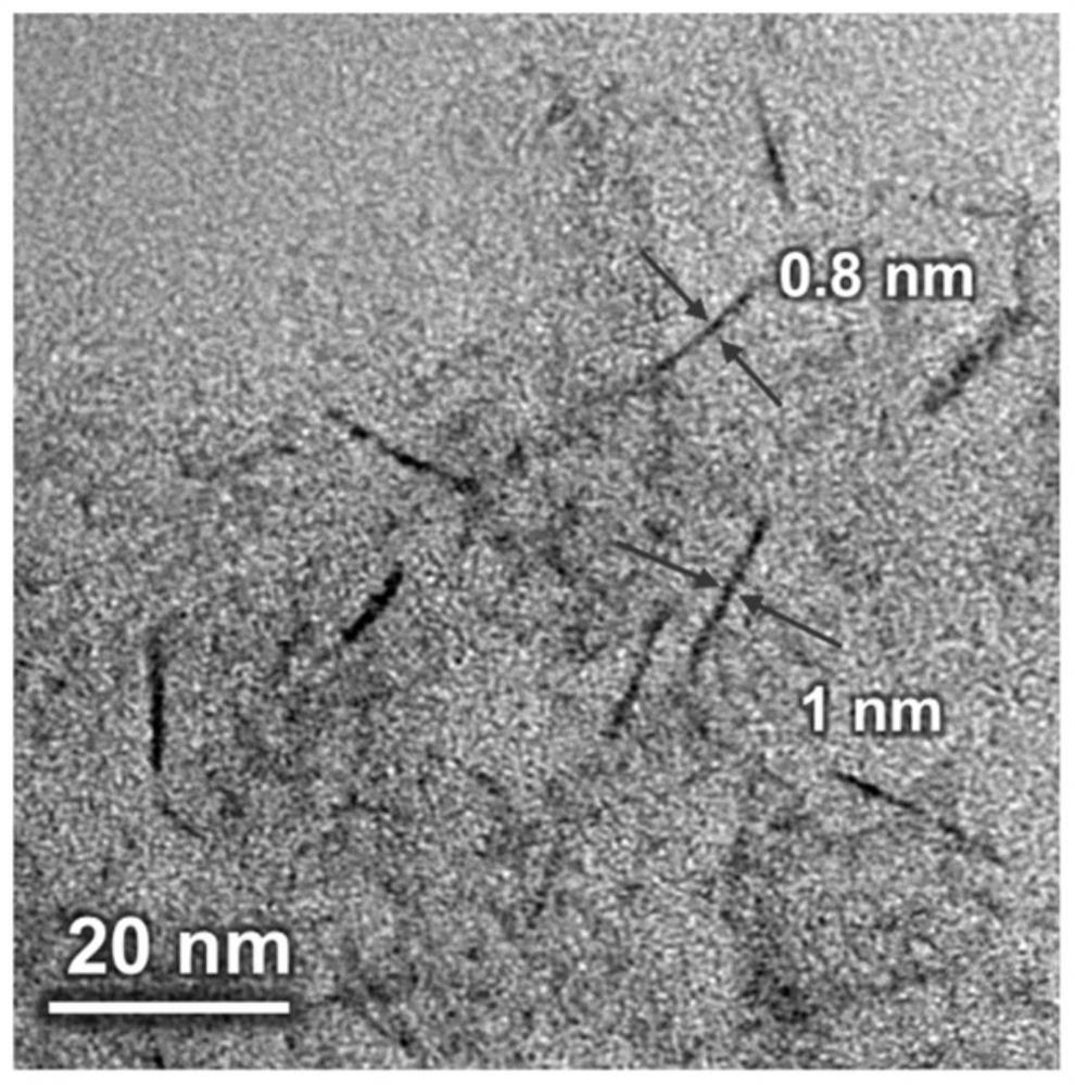 A kind of single-layer hydrotalcite material supported by monodisperse noble metal and its preparation method and application