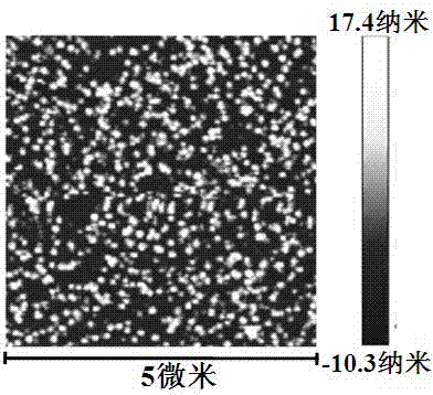 Optical parameter detecting method for Si-based buffer layer coated glass