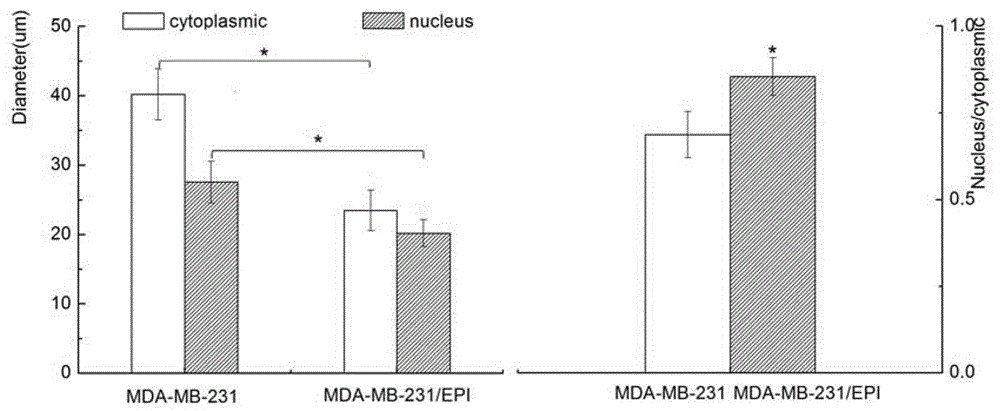 A breast cancer multidrug-resistant cell line induced by epirubicin and its construction method and application