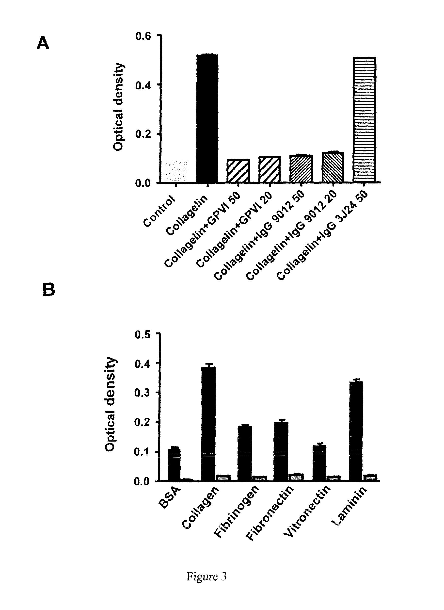 Polypeptides, cyclic polypeptides and pharmaceutical comprising thereof for non invasive specific imaging of fibrosis