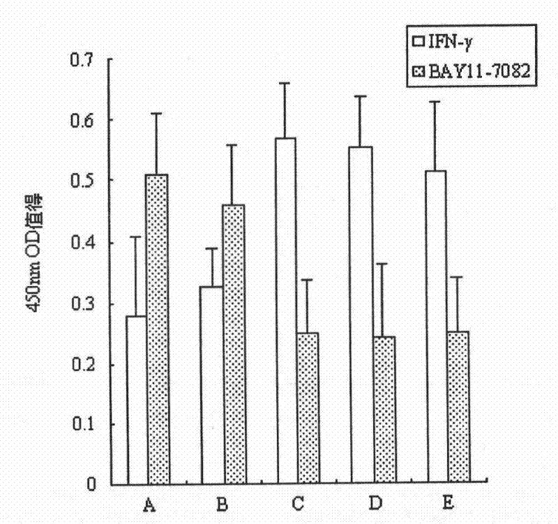 Method for measuring influencing factors to BAFF-R (B cell-Activating Factor-Receptor) gene promoter activity of human