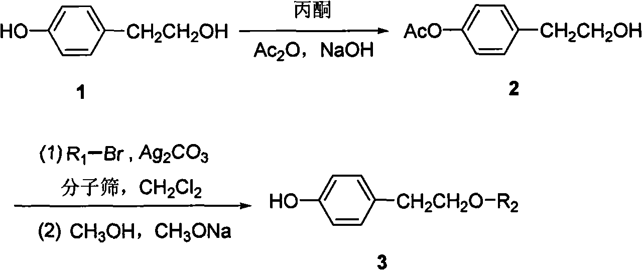 Method for preparing tyrosol glucoside in quantities