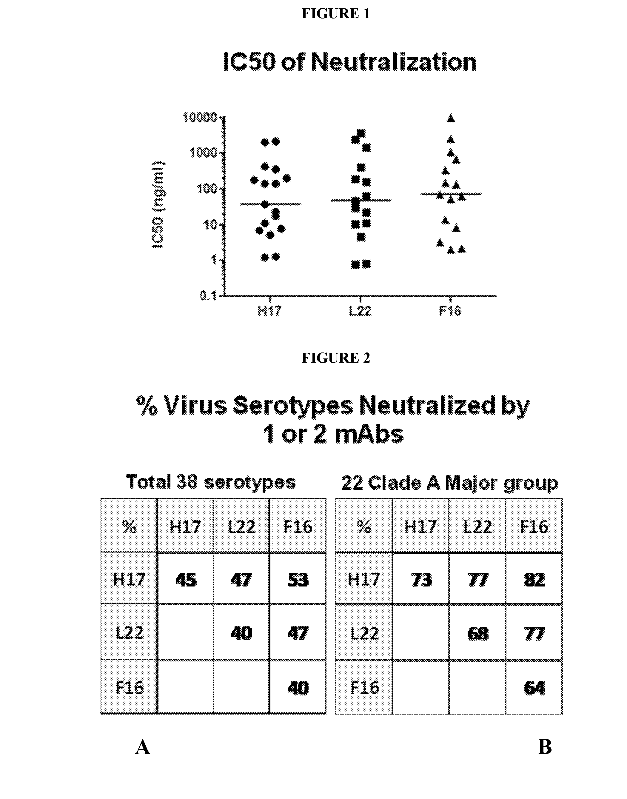 Human rhinovirus (HRV) antibodies