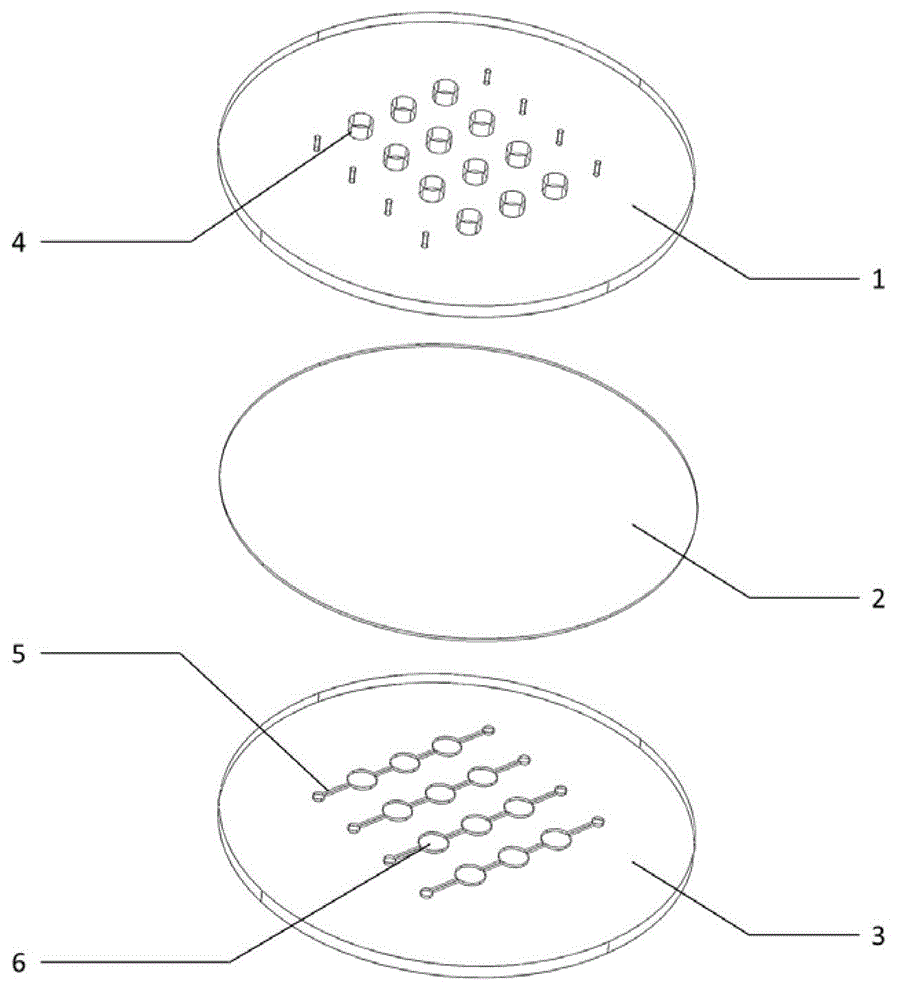 Micro-fluidic chip culture device of cell capable of being stretched mechanically and application thereof