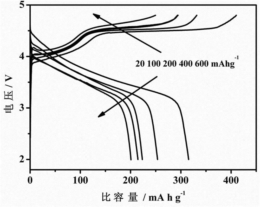 Positive electrode material for lithium ion battery and preparation method of positive electrode material