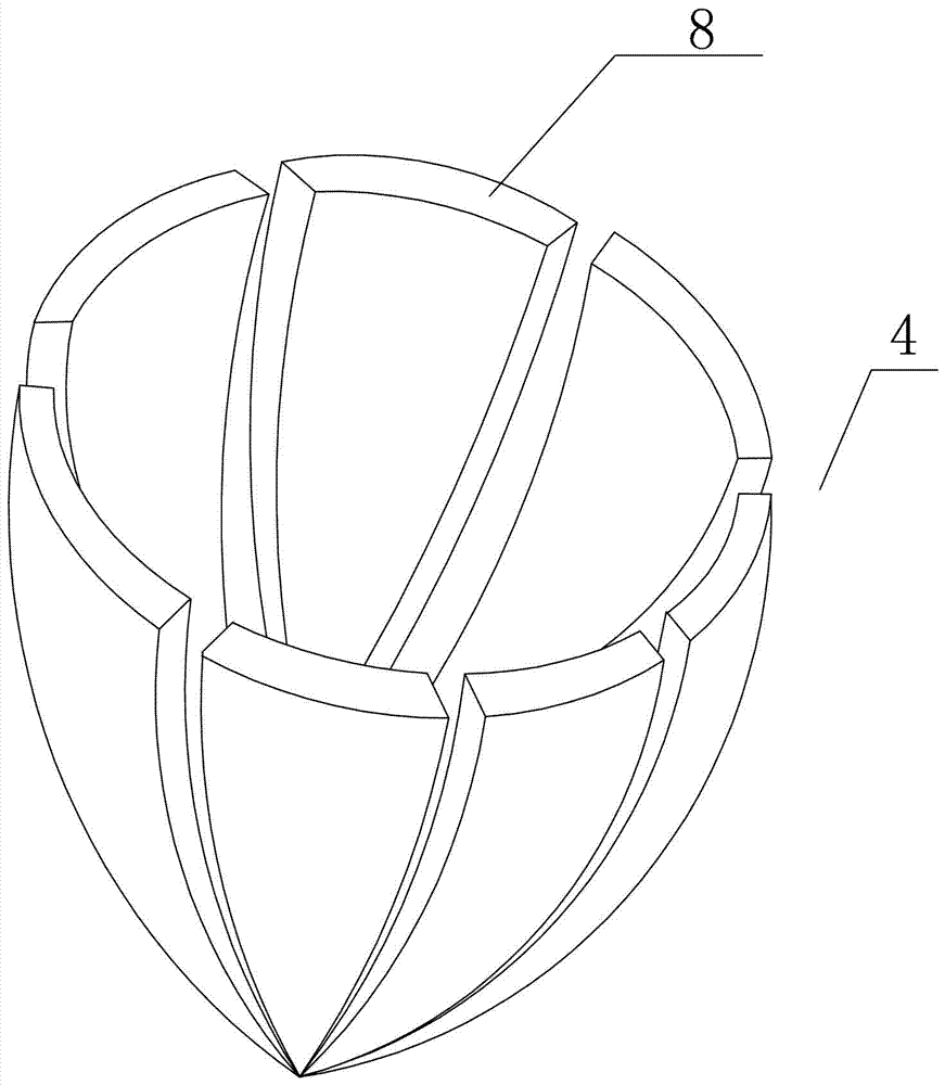 Fertilizing apparatus for walnut trees