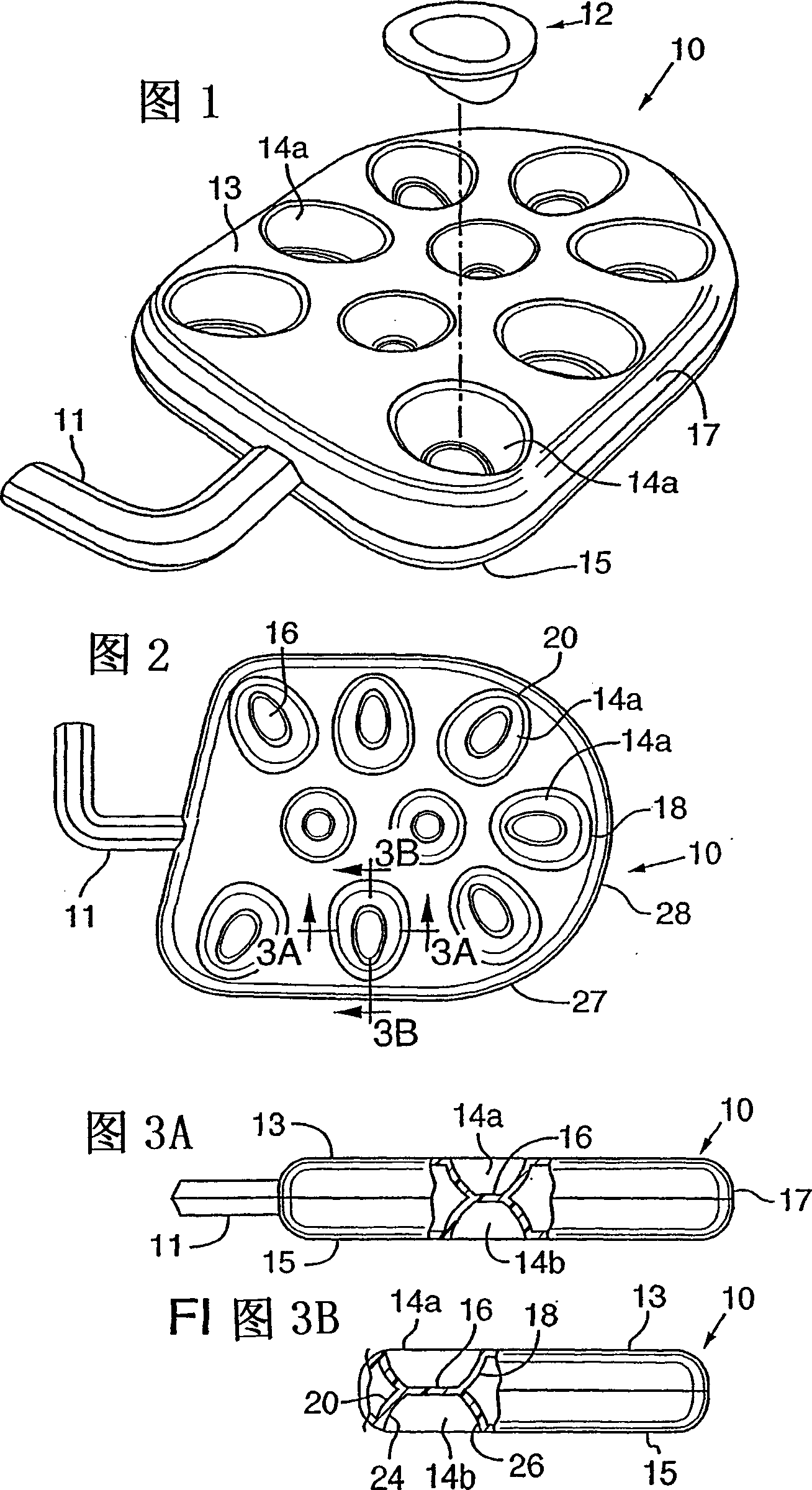 Footwear having a bladder with support member