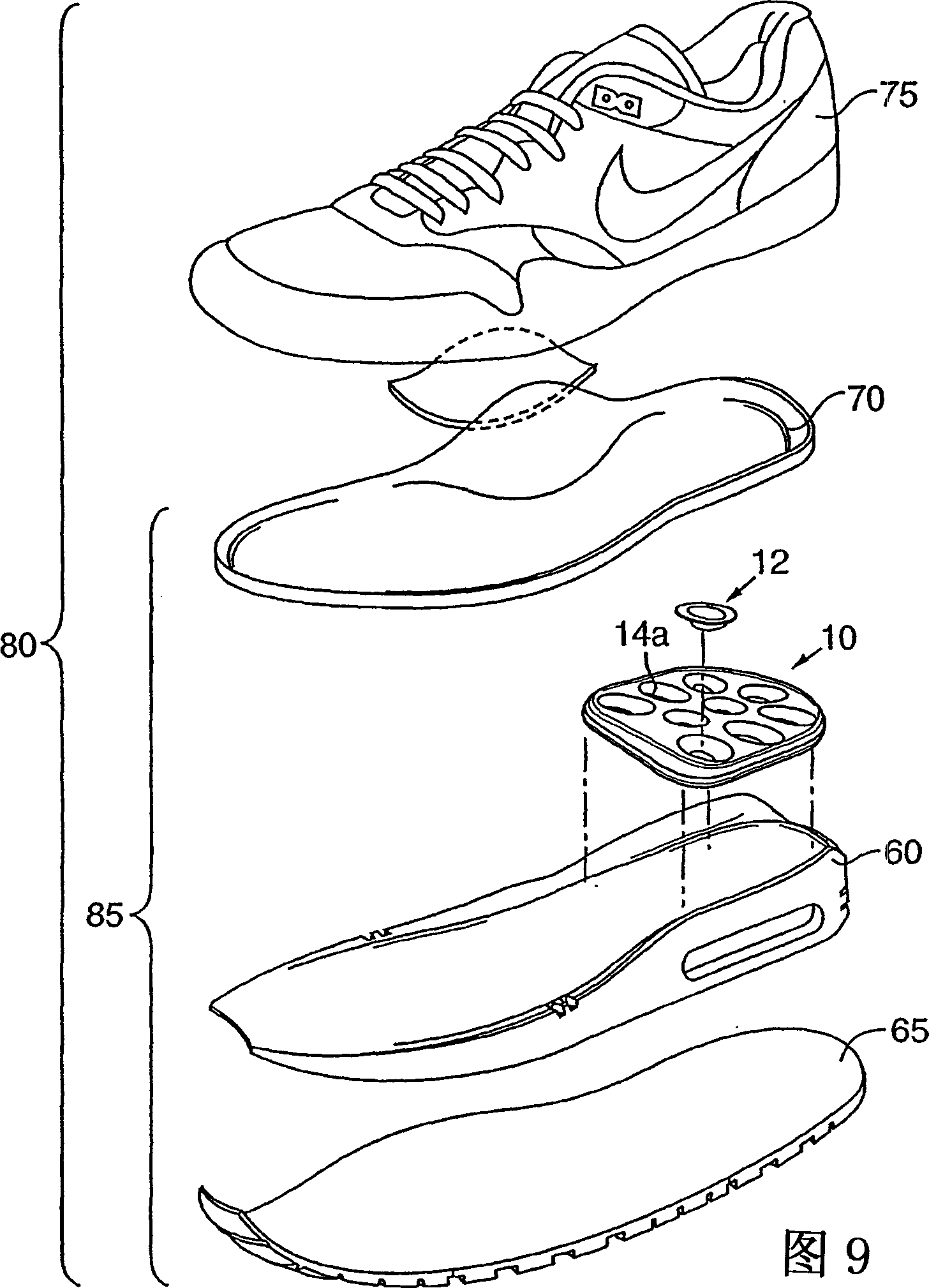 Footwear having a bladder with support member