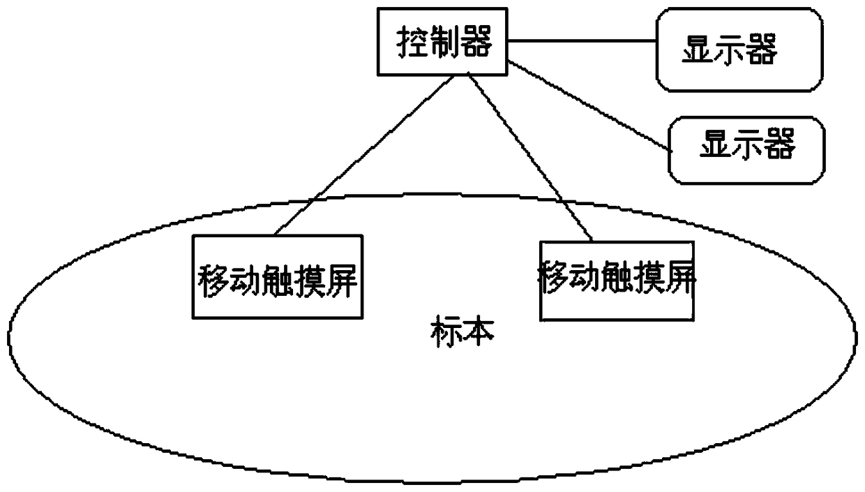 A specimen identification display teaching system and method