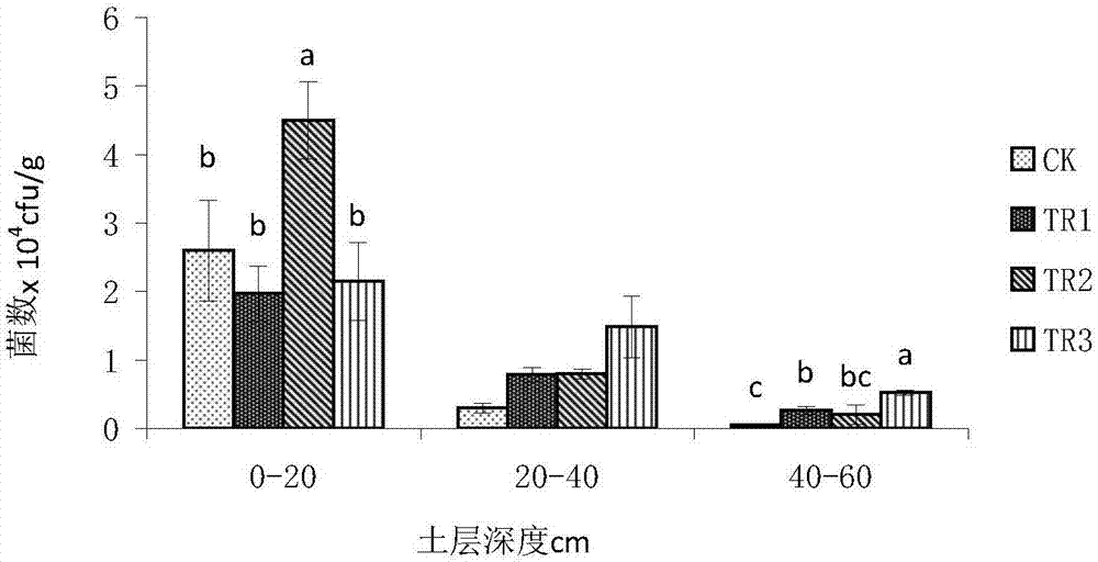 Oxygenating water-saving irrigation method for Lingwu long jujube