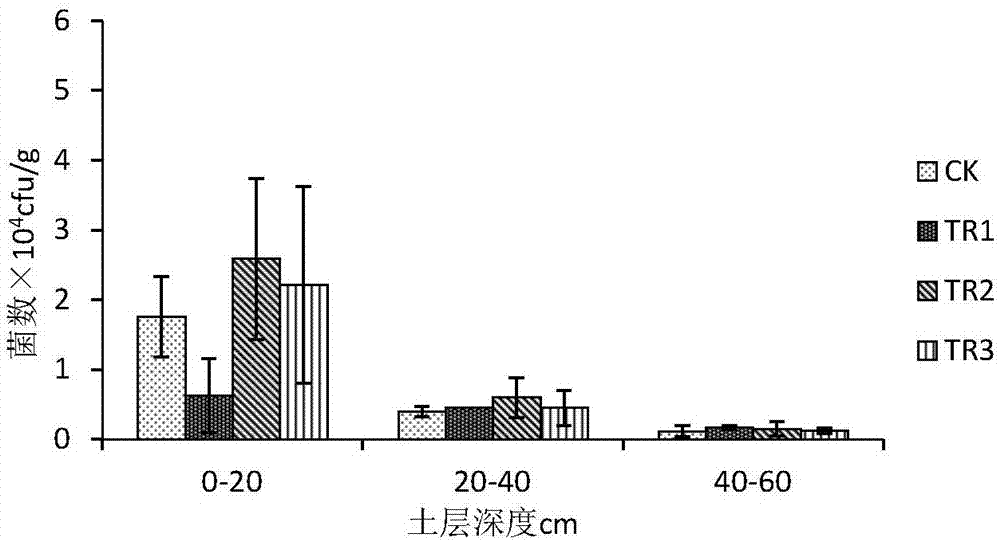 Oxygenating water-saving irrigation method for Lingwu long jujube