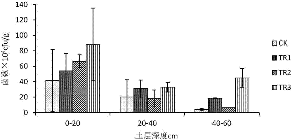 Oxygenating water-saving irrigation method for Lingwu long jujube