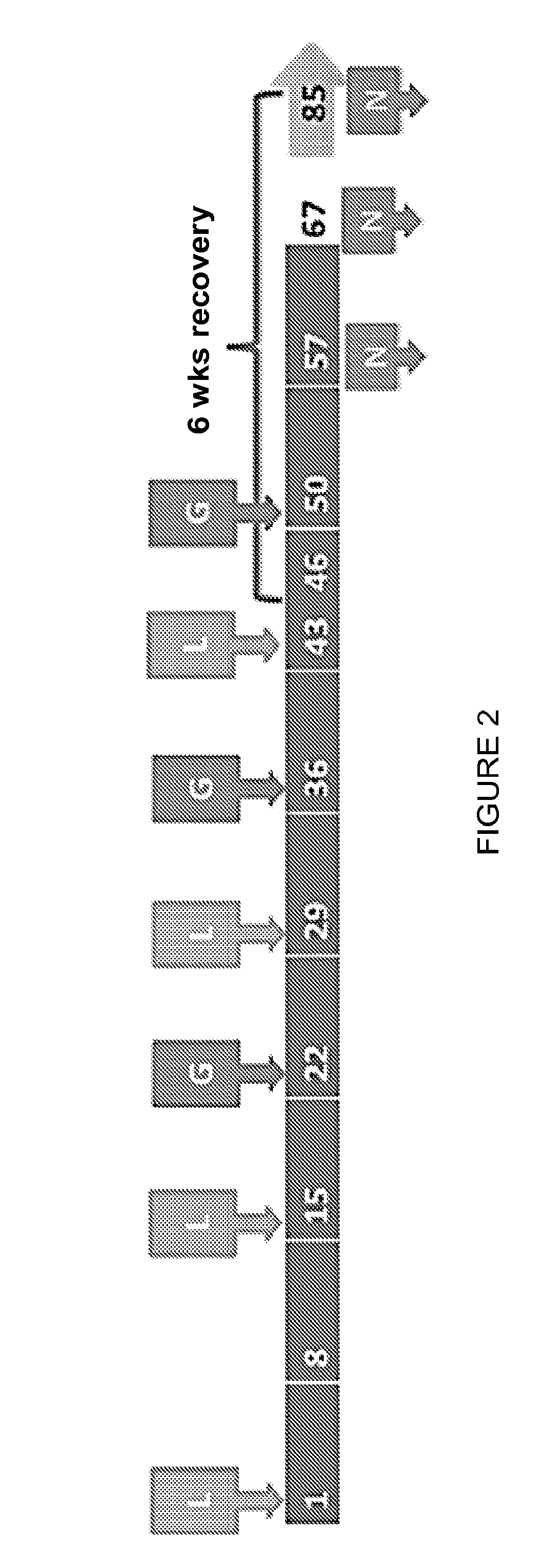 Prime-boost regimens with a tlr4 agonist adjuvant and a lentiviral vector