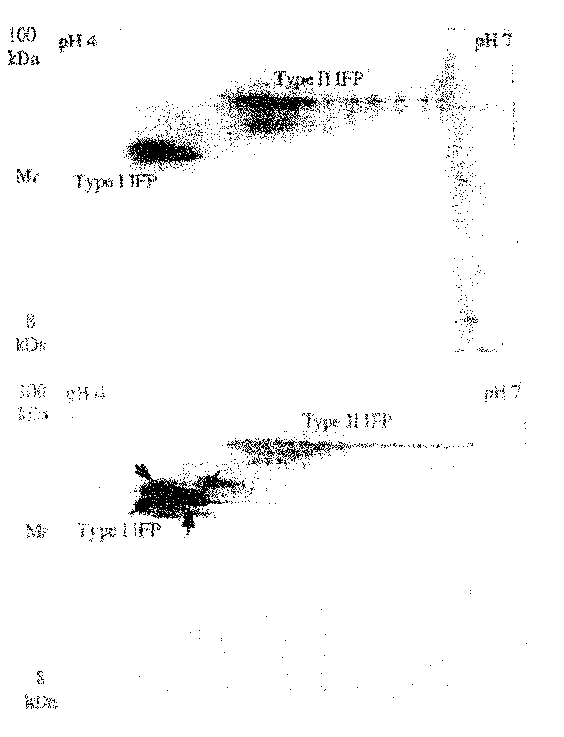 Electrophoresis Separation Methods