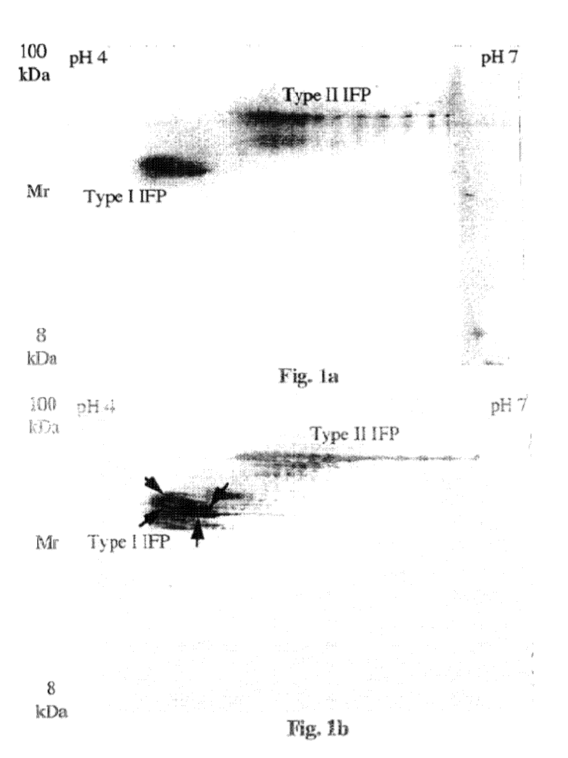 Electrophoresis Separation Methods