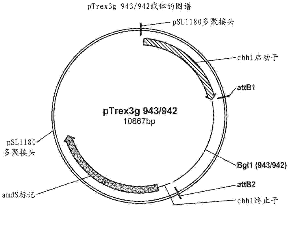 Beta-glucosidase from magnaporthe grisea