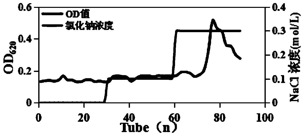 Chlorella exopolysaccharide with antioxidant activity