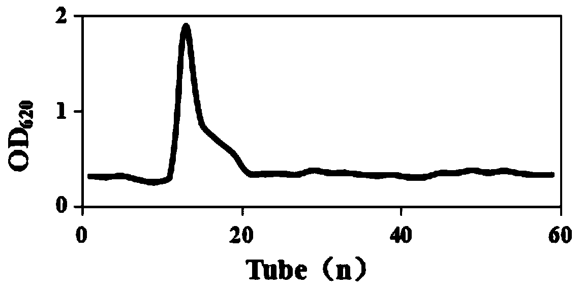 Chlorella exopolysaccharide with antioxidant activity