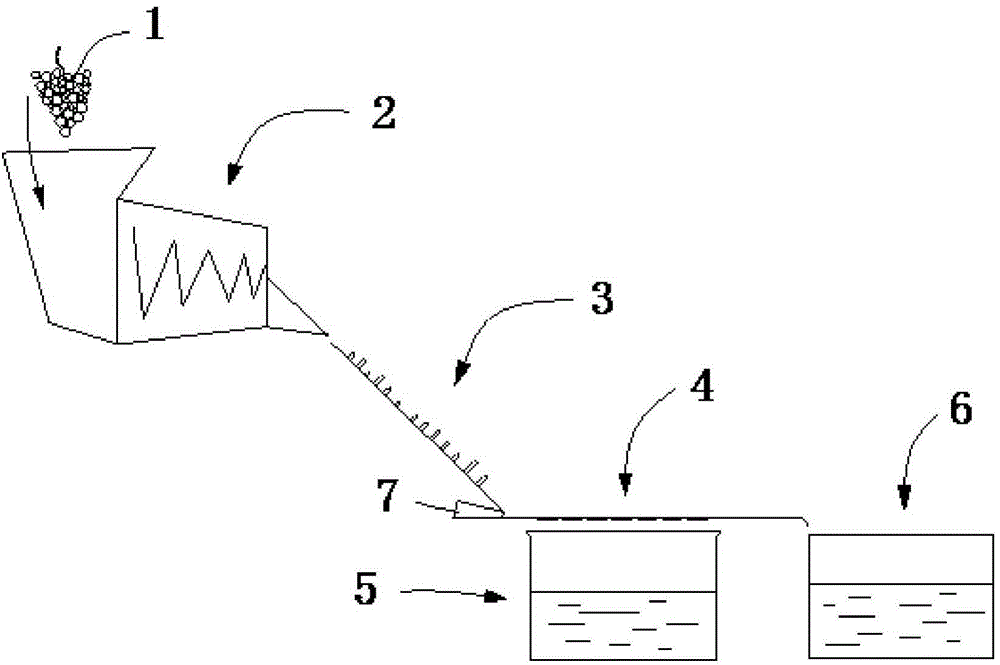 Pulp separating device system for grape