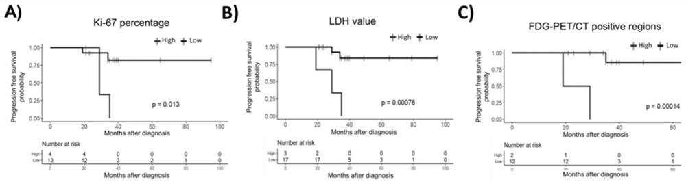 Detection panel for follicular lymphoma prognosis evaluation based on circulating free DNA mutation, kit and application