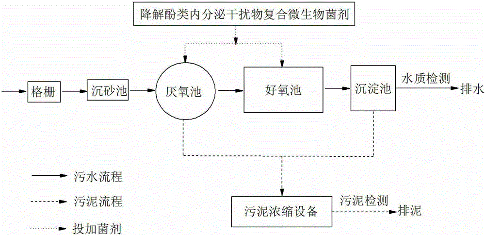 Compound microbial preparation for degrading phenol endocrine disrupter and preparation method