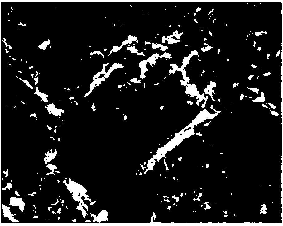 Cemented filling body mechanical response characteristic prediction method based on SEM (scanning electron microscopy) image