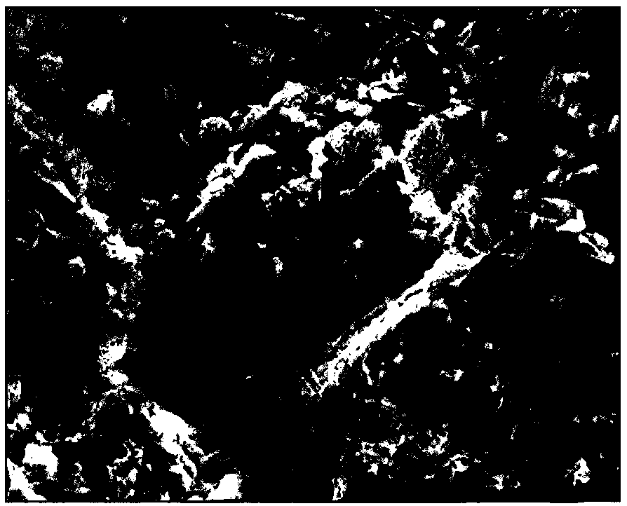 Cemented filling body mechanical response characteristic prediction method based on SEM (scanning electron microscopy) image