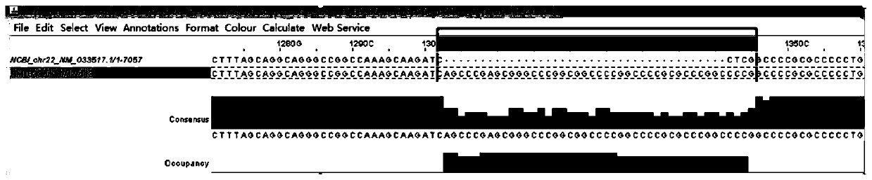 Homologous pseudogene variation detection method