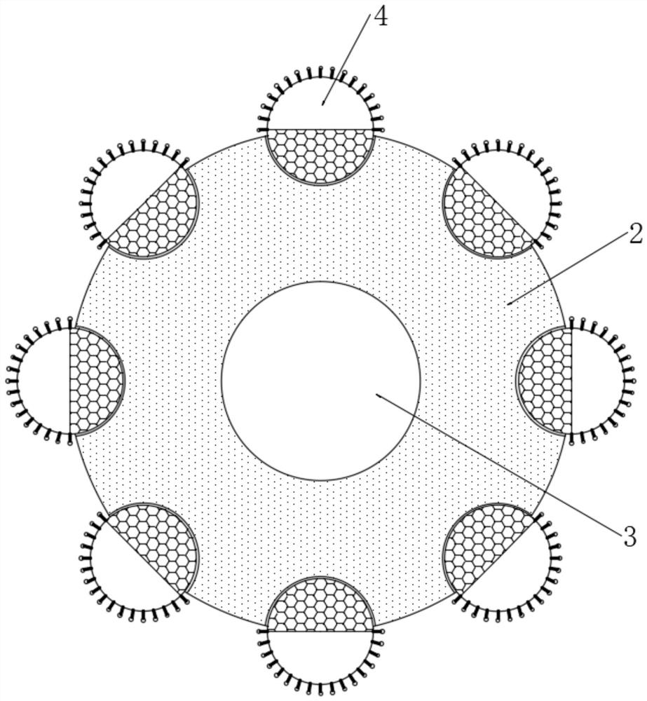 Seasonal photosensitive self-regulation novel agricultural greenhouse