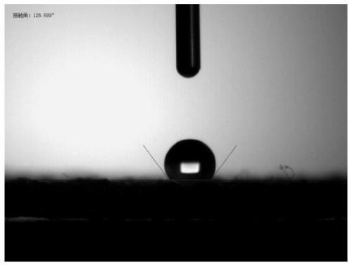 Platinum-charcoal/rare earth oxide composite-phase hydrophobic catalyst, and preparation method and application thereof