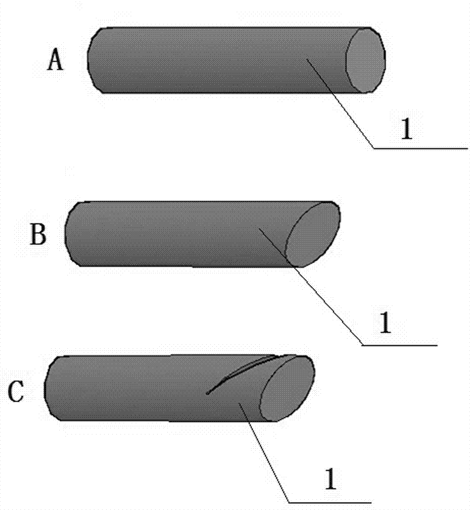 Method for grafting other species on stiff branch of tree