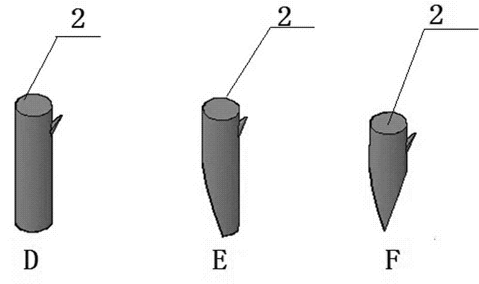 Method for grafting other species on stiff branch of tree