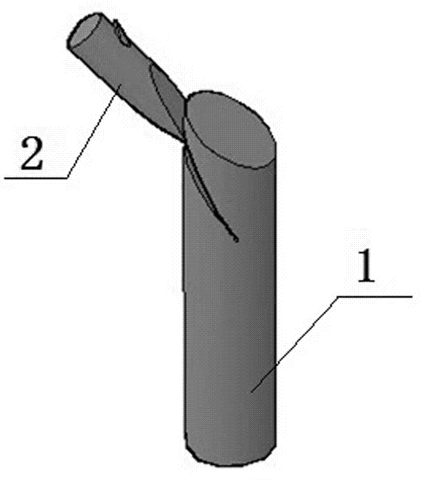 Method for grafting other species on stiff branch of tree