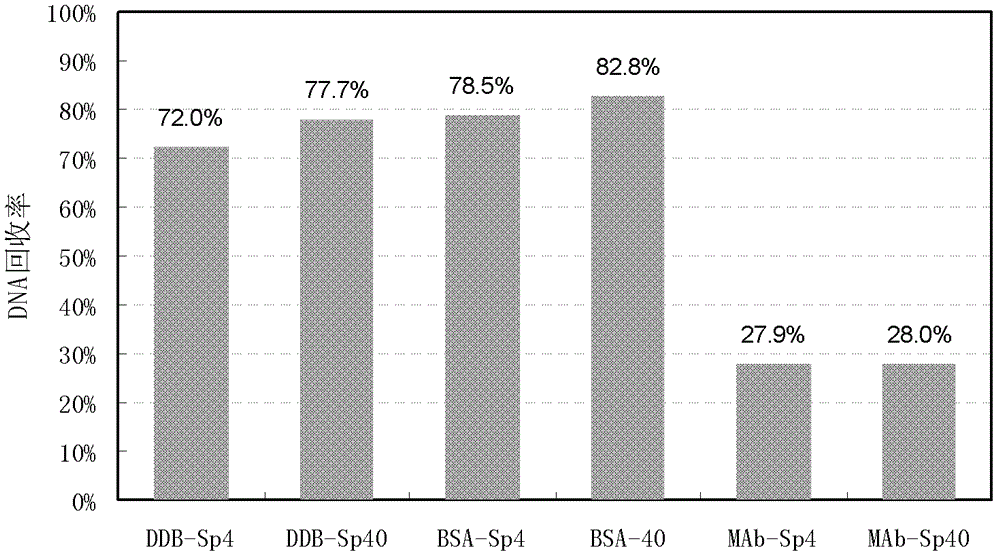 A magnetic bead method for extracting residual dna from recombinant protein products