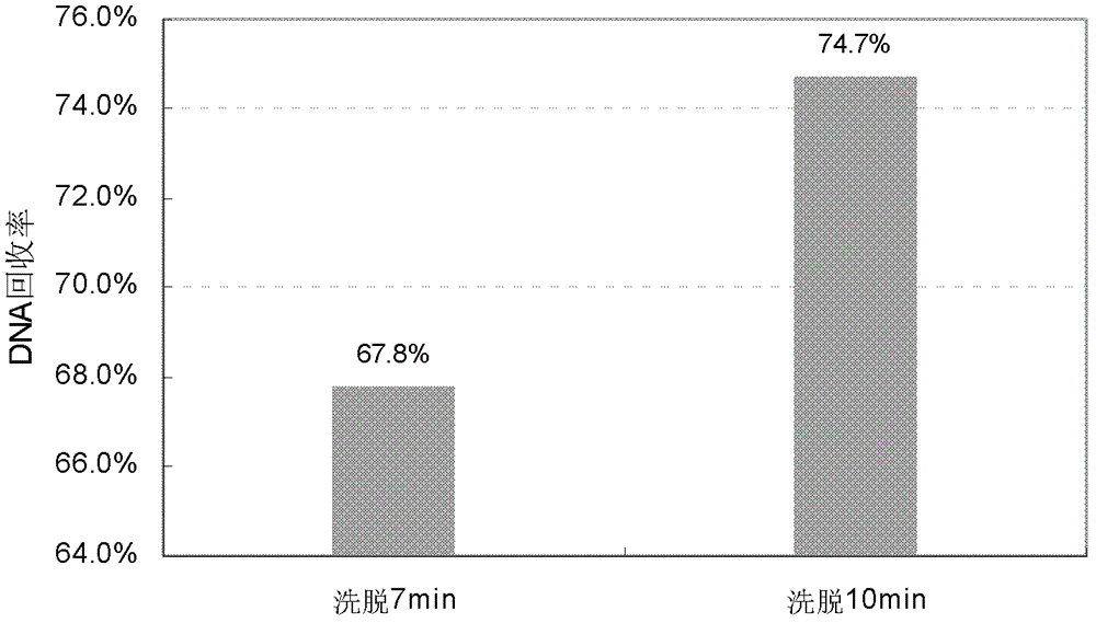 A magnetic bead method for extracting residual dna from recombinant protein products