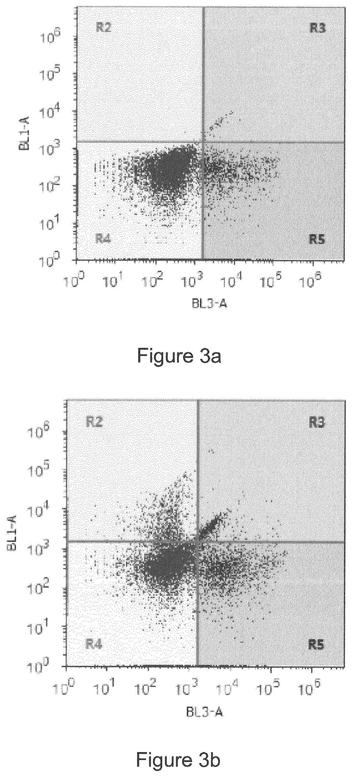 Oncolytic herpes simplex virus infected cells