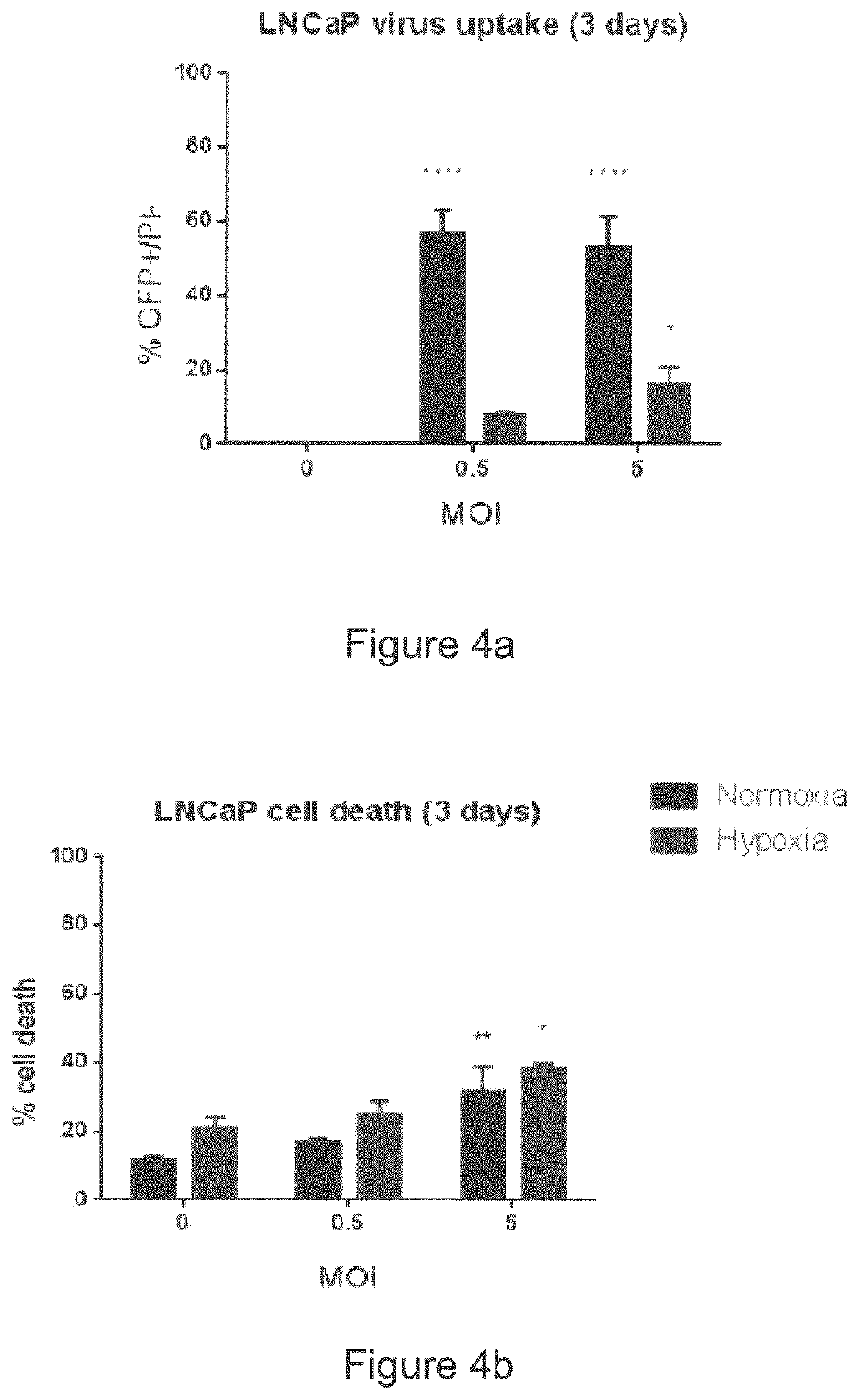 Oncolytic herpes simplex virus infected cells