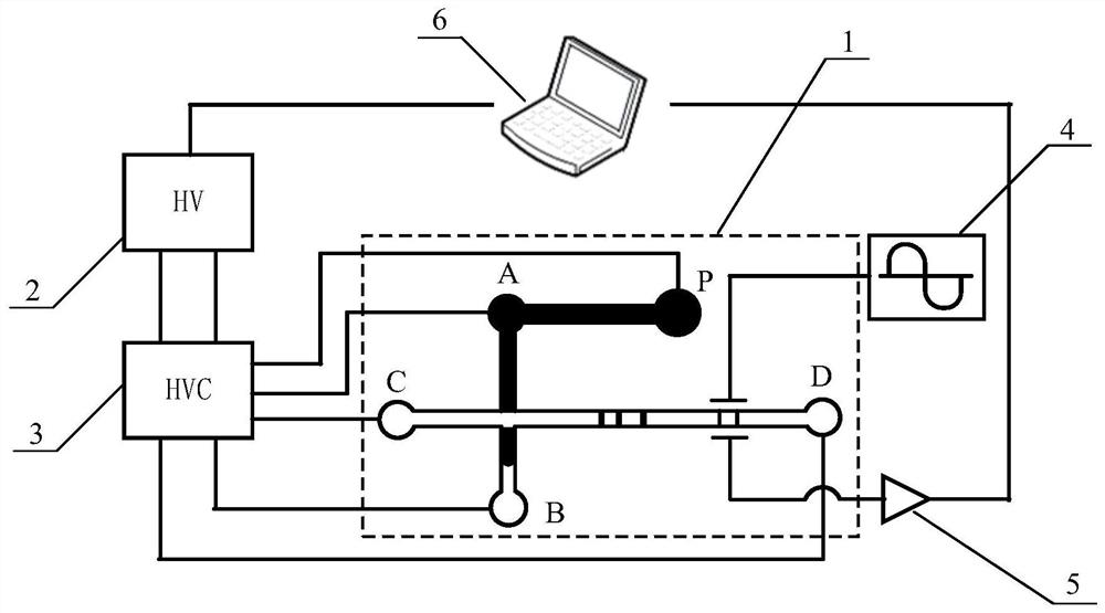 Microelectrophoresis chip and detection method for online concentration and detection of charged small particles