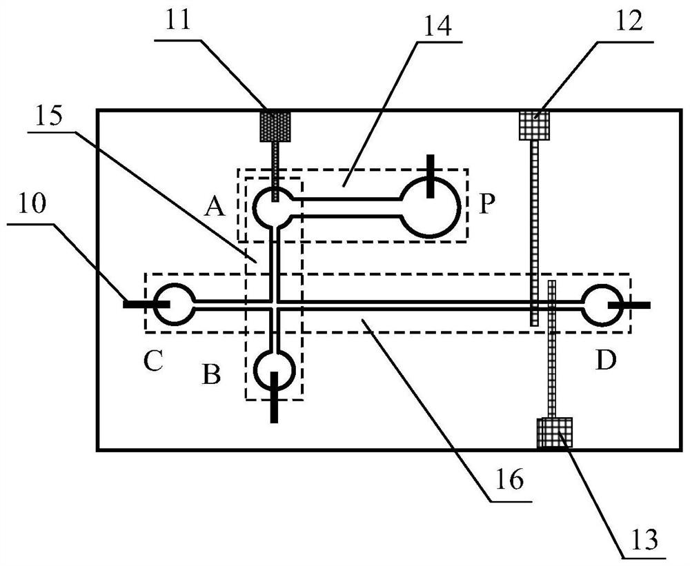 Microelectrophoresis chip and detection method for online concentration and detection of charged small particles