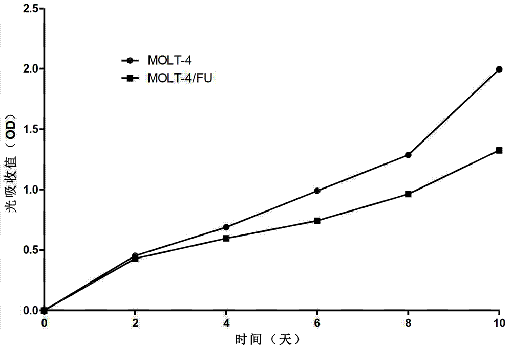 Acute lymphoblastic leukemia multidrug resistance cell line