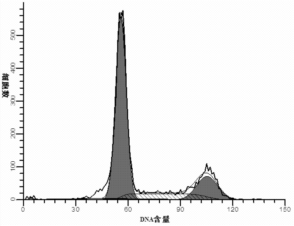 Acute lymphoblastic leukemia multidrug resistance cell line