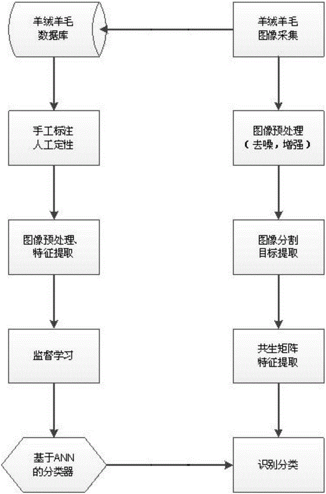 Wool and cashmere identification algorithm based on gray level co-occurrence matrix model