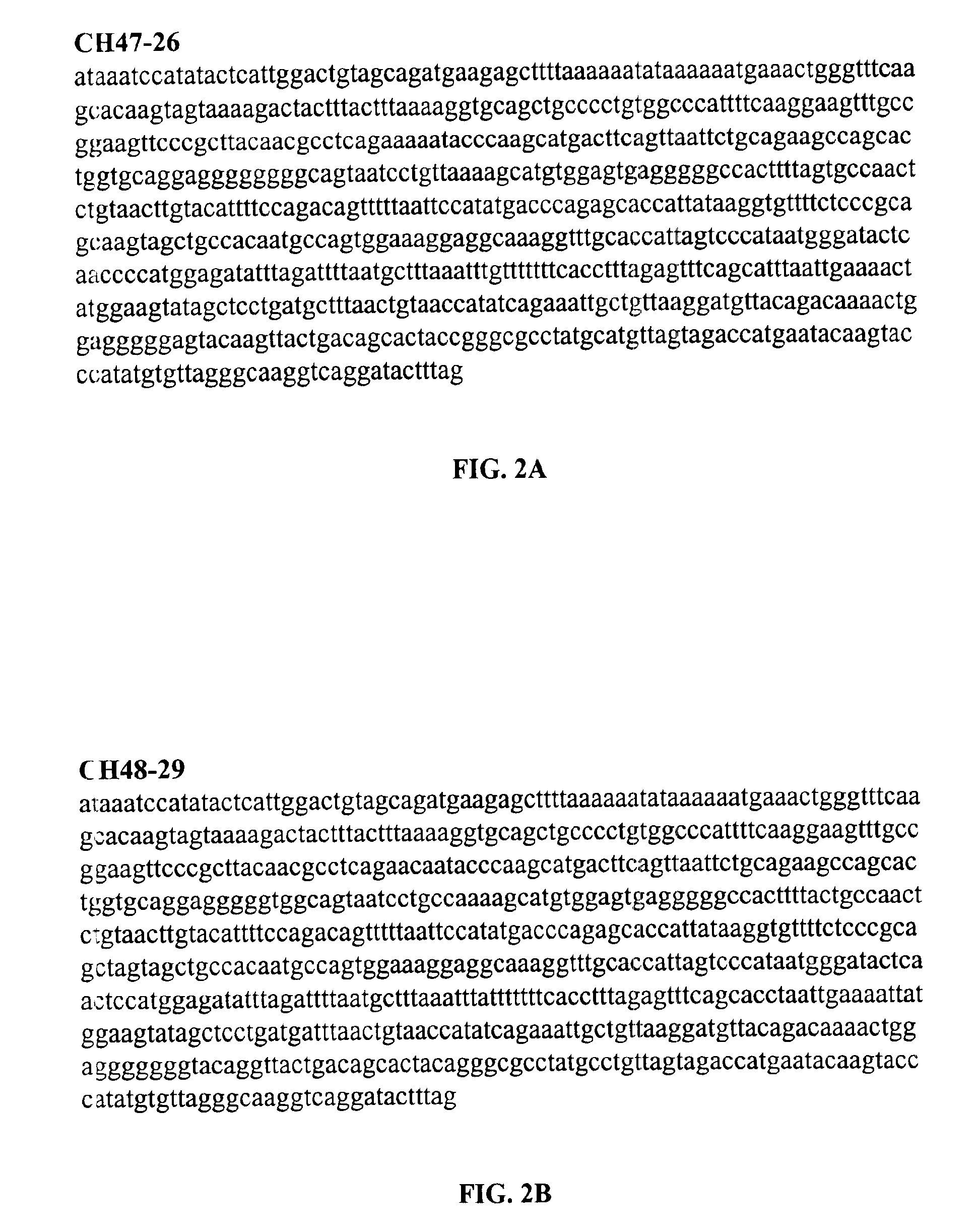 Diagnostic assays for parvovirus B19