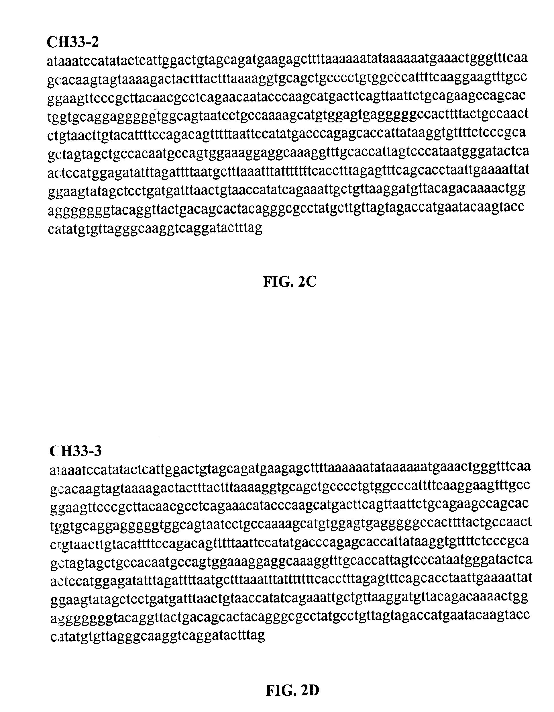 Diagnostic assays for parvovirus B19