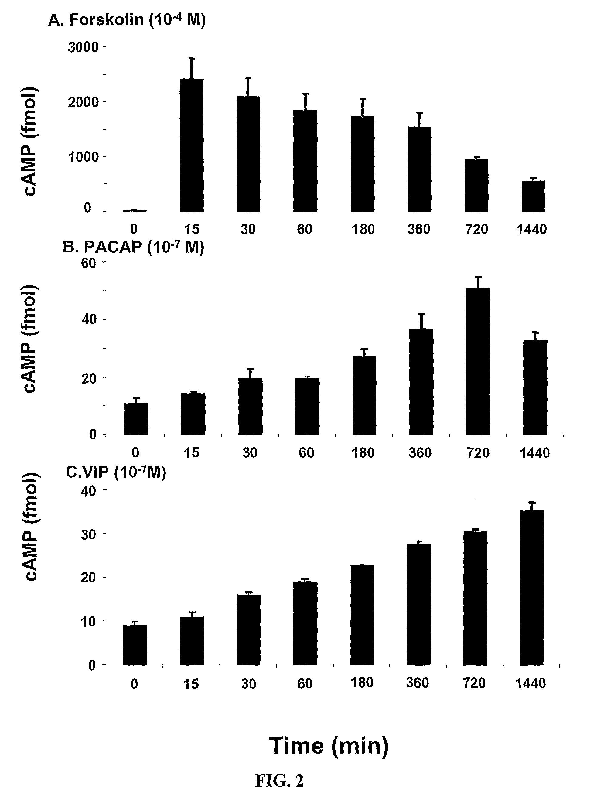 Methods and Compositions Involving A1c Subunit of L-Type Calcium Channels in Smooth Muscle Cells